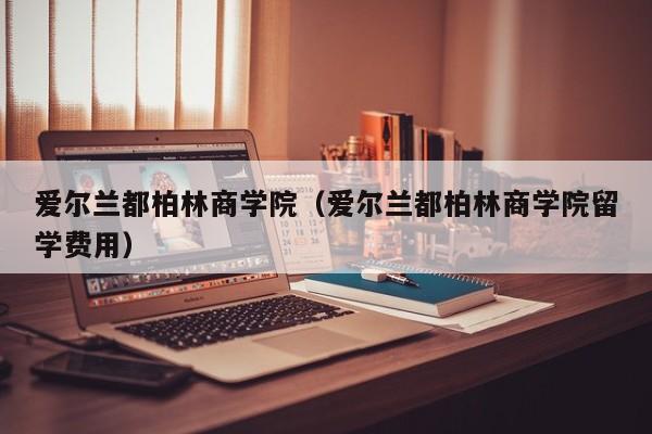 爱尔兰都柏林商学院（爱尔兰都柏林商学院留学费用）