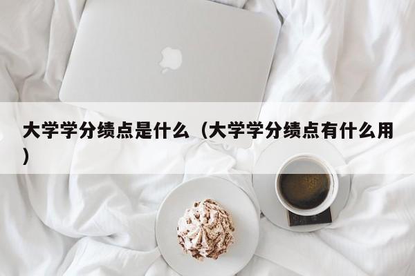 大学学分绩点是什么（大学学分绩点有什么用）