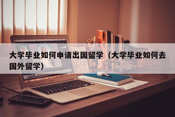 大学毕业如何申请出国留学（大学毕业如何去国外留学）