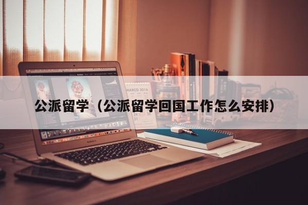 公派留学（公派留学回国工作怎么安排）