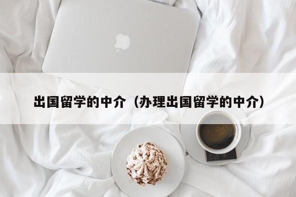 出国留学的中介（办理出国留学的中介）