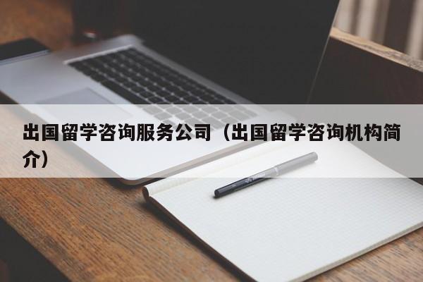 出国留学咨询服务公司（出国留学咨询机构简介）