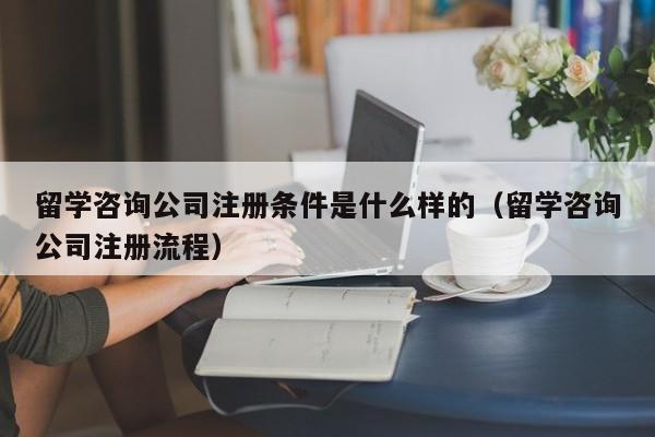 留学咨询公司注册条件是什么样的（留学咨询公司注册流程）