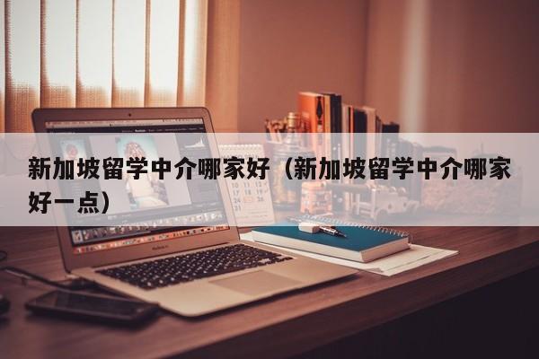 新加坡留学中介哪家好（新加坡留学中介哪家好一点）