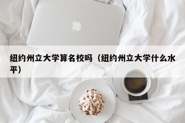 纽约州立大学算名校吗（纽约州立大学什么水平）