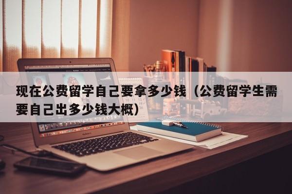 现在公费留学自己要拿多少钱（公费留学生需要自己出多少钱大概）