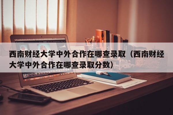 西南财经大学中外合作在哪查录取（西南财经大学中外合作在哪查录取分数）