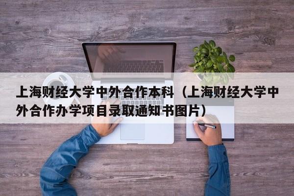 上海财经大学中外合作本科（上海财经大学中外合作办学项目录取通知书图片）