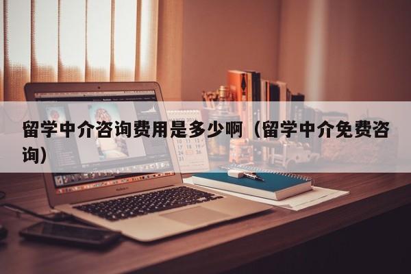 留学中介咨询费用是多少啊（留学中介免费咨询）