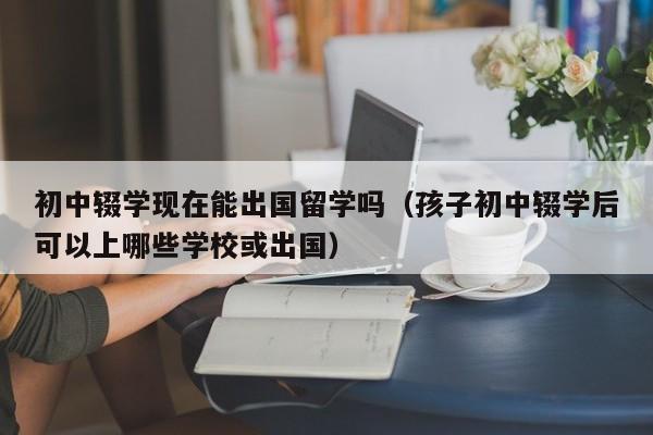 初中辍学现在能出国留学吗（孩子初中辍学后可以上哪些学校或出国）