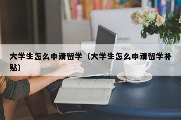 大学生怎么申请留学（大学生怎么申请留学补贴）