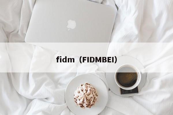 fidm（FIDMBEI）