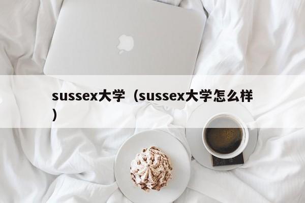 sussex大学（sussex大学怎么样）