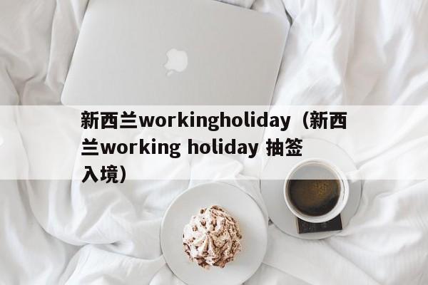 新西兰workingholiday（新西兰working holiday 抽签 入境）