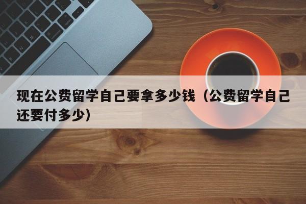 现在公费留学自己要拿多少钱（公费留学自己还要付多少）