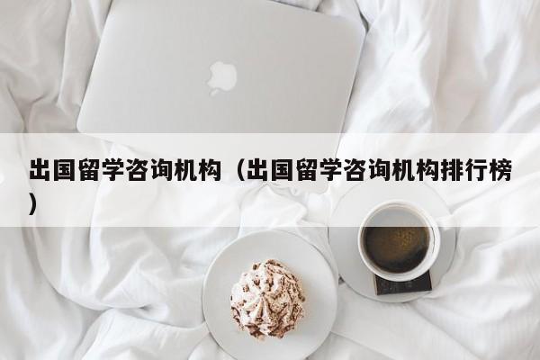 出国留学咨询机构（出国留学咨询机构排行榜）