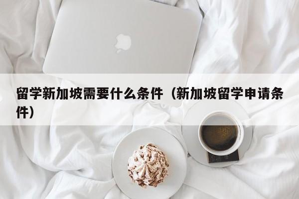 留学新加坡需要什么条件（新加坡留学申请条件）