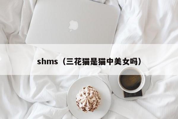 shms（三花猫是猫中美女吗）