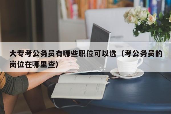 大专考公务员有哪些职位可以选（考公务员的岗位在哪里查）