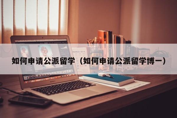 如何申请公派留学（如何申请公派留学博一）