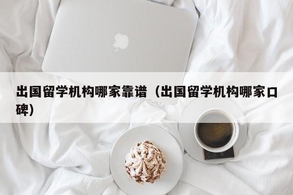 出国留学机构哪家靠谱（出国留学机构哪家口碑）