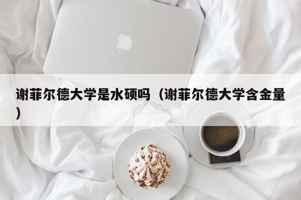 谢菲尔德大学是水硕吗（谢菲尔德大学含金量）