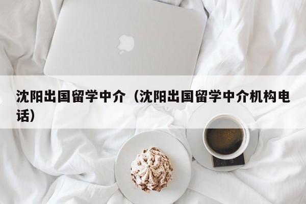 沈阳出国留学中介（沈阳出国留学中介机构电话）