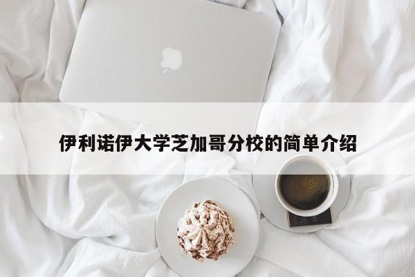 伊利诺伊大学芝加哥分校的简单介绍