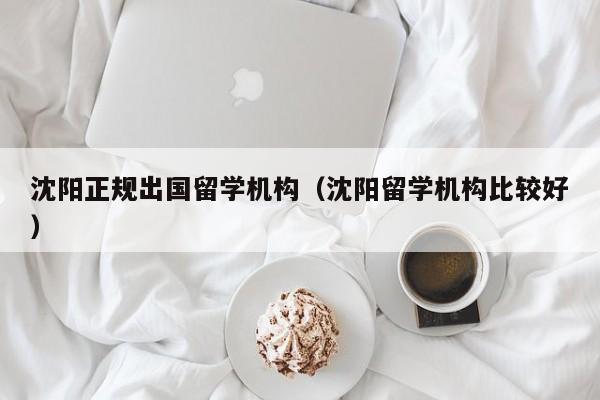 沈阳正规出国留学机构（沈阳留学机构比较好）