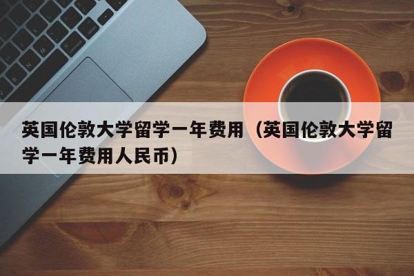 英国伦敦大学留学一年费用（英国伦敦大学留学一年费用人民币）