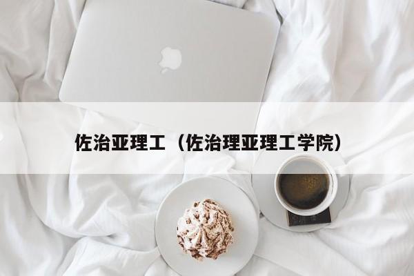 佐治亚理工（佐治理亚理工学院）