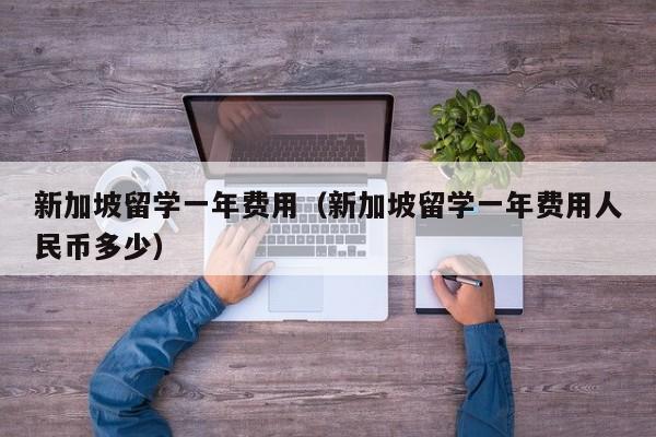 新加坡留学一年费用（新加坡留学一年费用人民币多少）